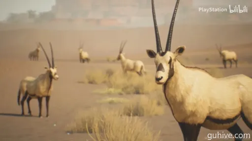 《荒野起源》新宣传片曝光!揭秘神秘试玩背后的惊喜! 《荒野起源》新宣传片曝光!揭秘神秘试玩背后的惊喜!